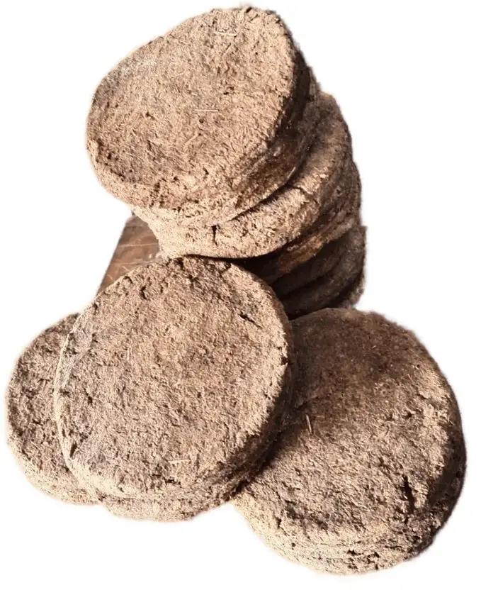 Home Havan Discs